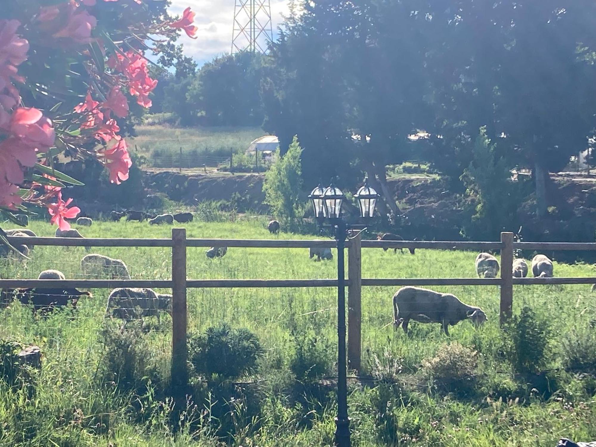 Le Studio D Aurelie Avec Spa Ete En Pleine Campagne Et Proche De Toute Commodite Roquemaure  Zewnętrze zdjęcie
